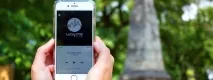 Перевірено Інформатором як працює додаток-аудіогід Wayme, Інформатор Дніпро перевірено