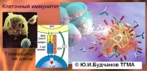 клинична имунология имунология