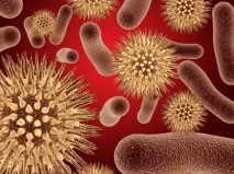 Грудне вигодовування при вірусному гепатиті С вірусному