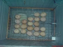 Інкубатор своїми руками, Зроби сам руками