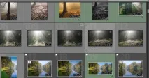lightroom търсите
