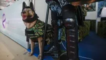 Вивчила нову форму співробітників поліції форму