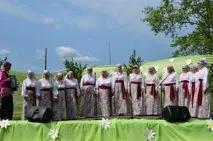 кохнево кохнево