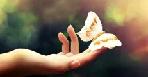 насекомо