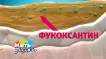 едно едно