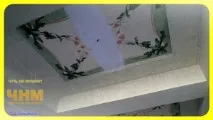 Як відремонтувати стелю, ремонт стелі своїми руками. ремонт