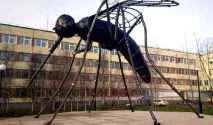 Як позбутися підвальних комарів у квартирі чи будинку, Майстер комарів