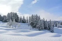 школі