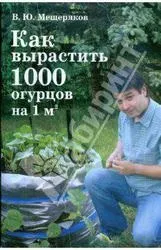краставици квадратен