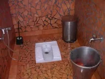 целия отиват