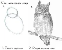 изковаш изковаш