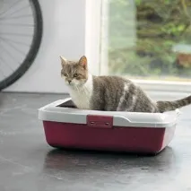 котешки котешки