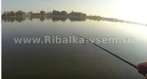 застояла вода застояла вода