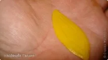 Керамічна флористика немає
