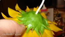 Керамічна флористика випадок