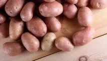 люляк мъгла