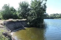 приманку