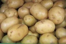 описание картофена