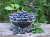 Катаракта лікування народними засобами без операції лікування