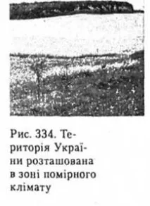 фактори фактори