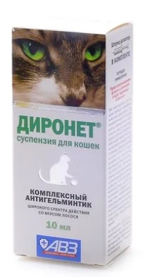 Краплі та таблетки від глистів у кішок - кішок