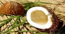 Кокосове масло застосування, користь, дозування відгук, Очищення організму Здоров’я людини масло