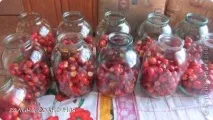 Компот із яблук сорту - Китайка, Країна Майстрів країна
