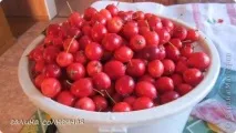 Компот із яблук сорту - Китайка, Країна Майстрів компот