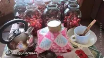 Компот із яблук сорту - Китайка, Країна Майстрів сорту