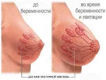 боли когато