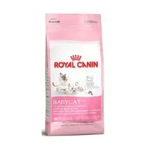 canin mother