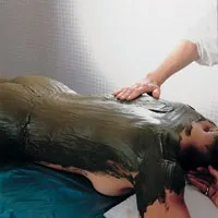 програмата програмата