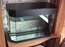 цілодобова