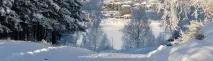 Кривошеїнський район кривошеїнський