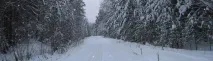 Кривошеїнський район кривошеїнський