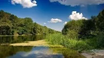 Кращі пляжі Воронежа огляд, опис та відгуки туристів пляжі
