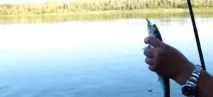 Лов оселедця на Волзі - На рибалці! волзі