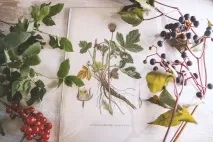 цветарски санкт