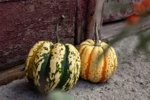 работилници санкт