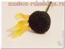 кръг шахматна флористика