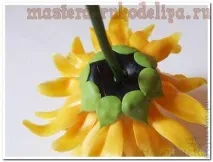 Майстер-клас з керамічної флористики Соняшник флористики