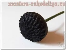 семинар флористика