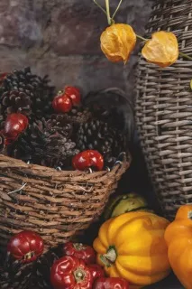 санкт цветарски