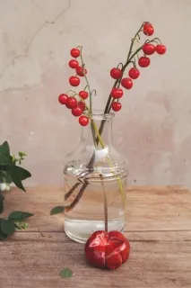 цветарски санкт
