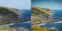 ръководство пълно
