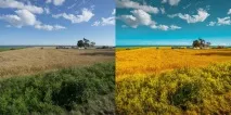 RAW проти JPEG Повний посібник повний