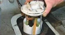 газель