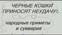 грис грис