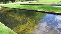 Розведення риби у штучних водоймах як бізнес риби