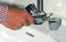 деца възрастни деца